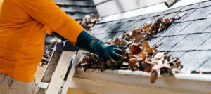 Read more about the article Gutter Cleaning